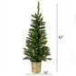 The Gerson Company 3.5" Colorado Spruce with Lights, , large