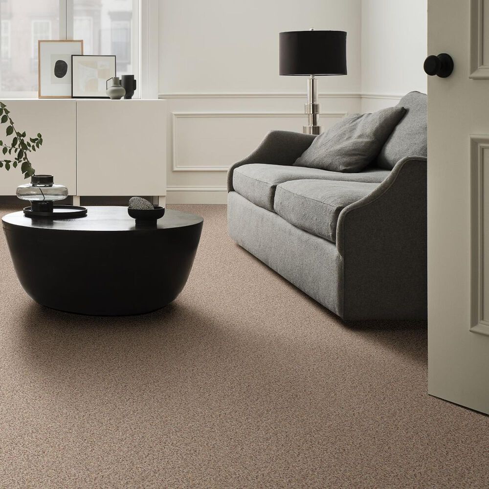 Anderson Tuftex East Place I Carpet in Terrazzo, , large