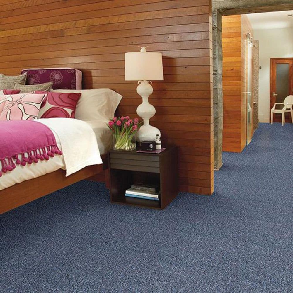 Shaw Capital Classic Carpet in Representative, , large