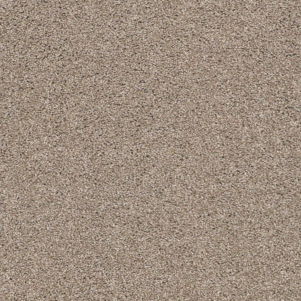 Anderson Tuftex Acadia Park Carpet in Caribou, , large