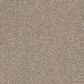 Anderson Tuftex Acadia Park Carpet in Caribou, , large