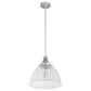 Hunter Cypress Grove 13" 1-Light Pendant in Brushed Nickel, , large