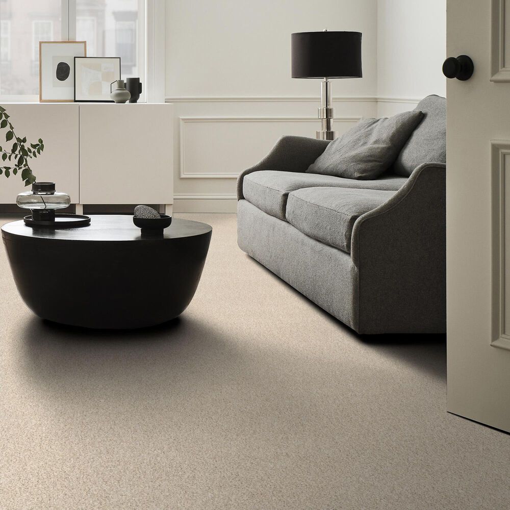 Anderson Tuftex Travertino Too Carpet in Tapioca, , large