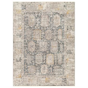 Surya Carlisle CSI2319 3"11" x 5"11" Dark Brown, Medium Gray, Off-White, Olive and Dark Blue Area Rug, , large