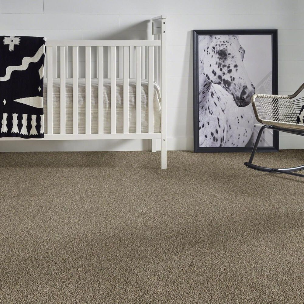 Anderson Tuftex The Bark Side II Carpet in Mesa View, , large