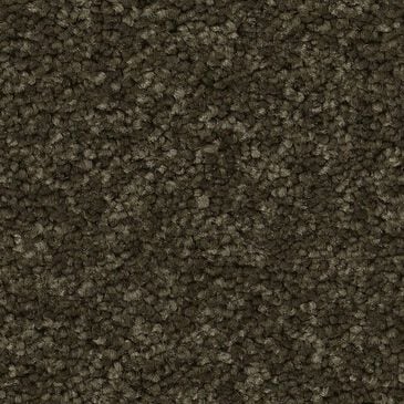 Anderson Tuftex Elegant Beauty Carpet in Dark Olive, , large