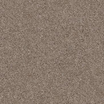 Shaw Yes You Can II Carpet in Cameo, , large