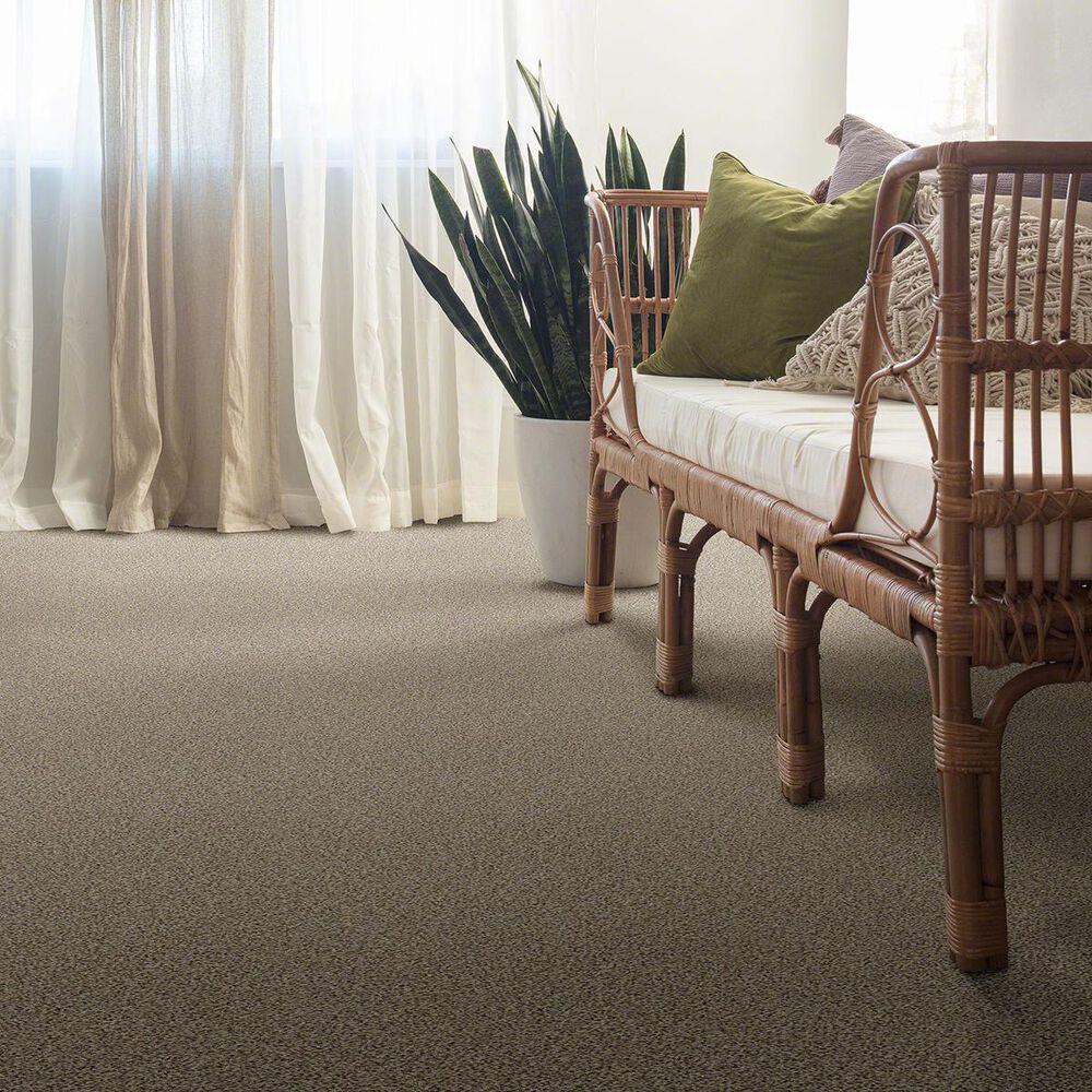 Anderson Tuftex The Bark Side II Carpet in Sandstone, , large