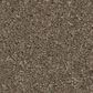 Anderson Tuftex Enchanting Carpet in Moonbeam, , large