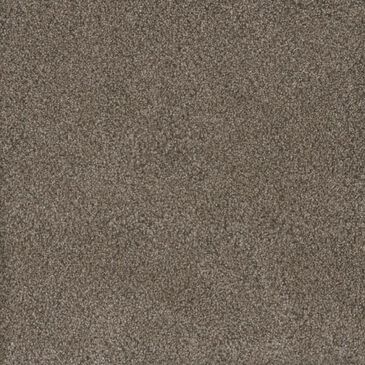 Dream Weaver PS850 Carpet in Umber, , large
