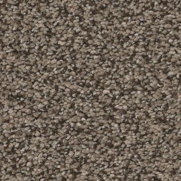 Anderson Tuftex Somerset Carpet in Ottertail, , large