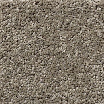 Anderson Tuftex Art Form Carpet in Intrigue, , large