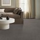 Anderson Tuftex Sneak Peek Carpet in Magnetic, , large