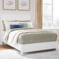 Signature Design by Ashley Full Panel Bed, , large