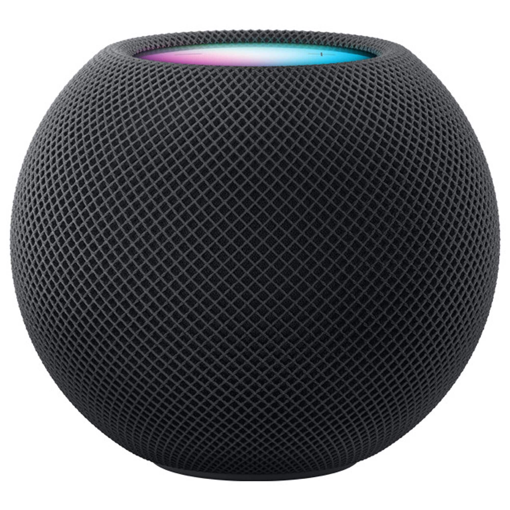 Apple HomePod Mini in Space Gray | Shop NFM