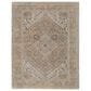 Feizy Rugs Celene 7"9" x 10" Beige and Brown Area Rug, , large