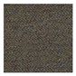 Shaw Swizzle 24" x 24" Carpet Tile in Relay, , large