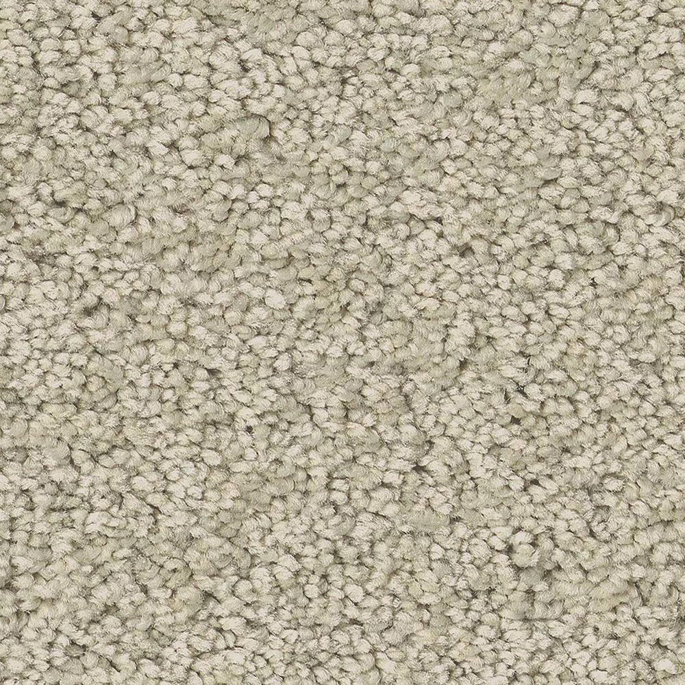 Anderson Tuftex Enchanting Carpet in Aloe Wash, , large