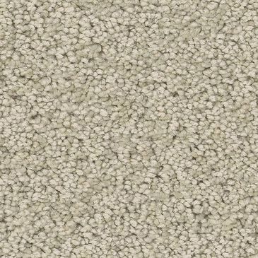 Anderson Tuftex Enchanting Carpet in Aloe Wash, , large