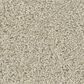 Anderson Tuftex Enchanting Carpet in Aloe Wash, , large