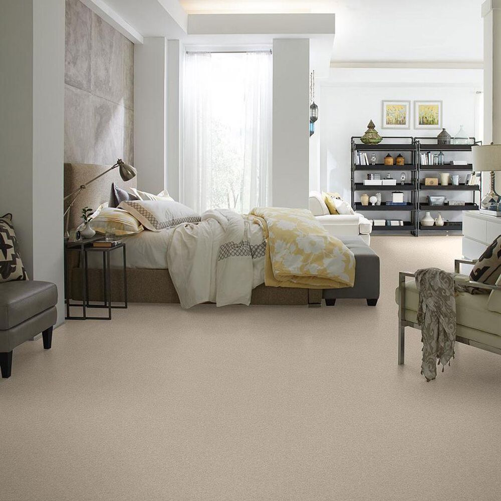 Anderson Tuftex East Place II Carpet in Lambswool, , large