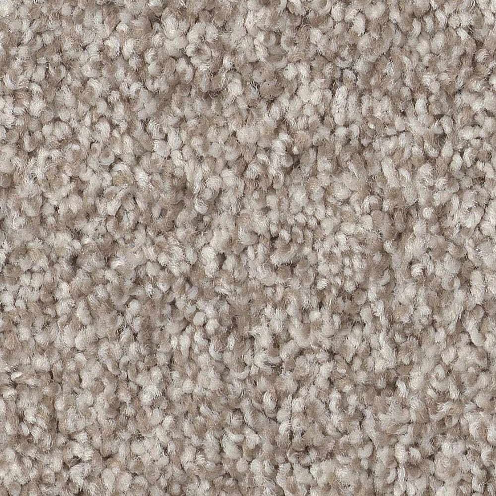 Anderson Tuftex Terra Nova Carpet in Spun Cotton, , large