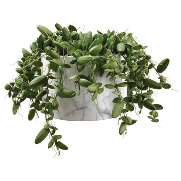 Allstate Floral and Craft Inc 9" Dischidia Planter in Green, , large