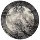 Nourison Twilight TWI17 8" Round Moon Area Rug, , large