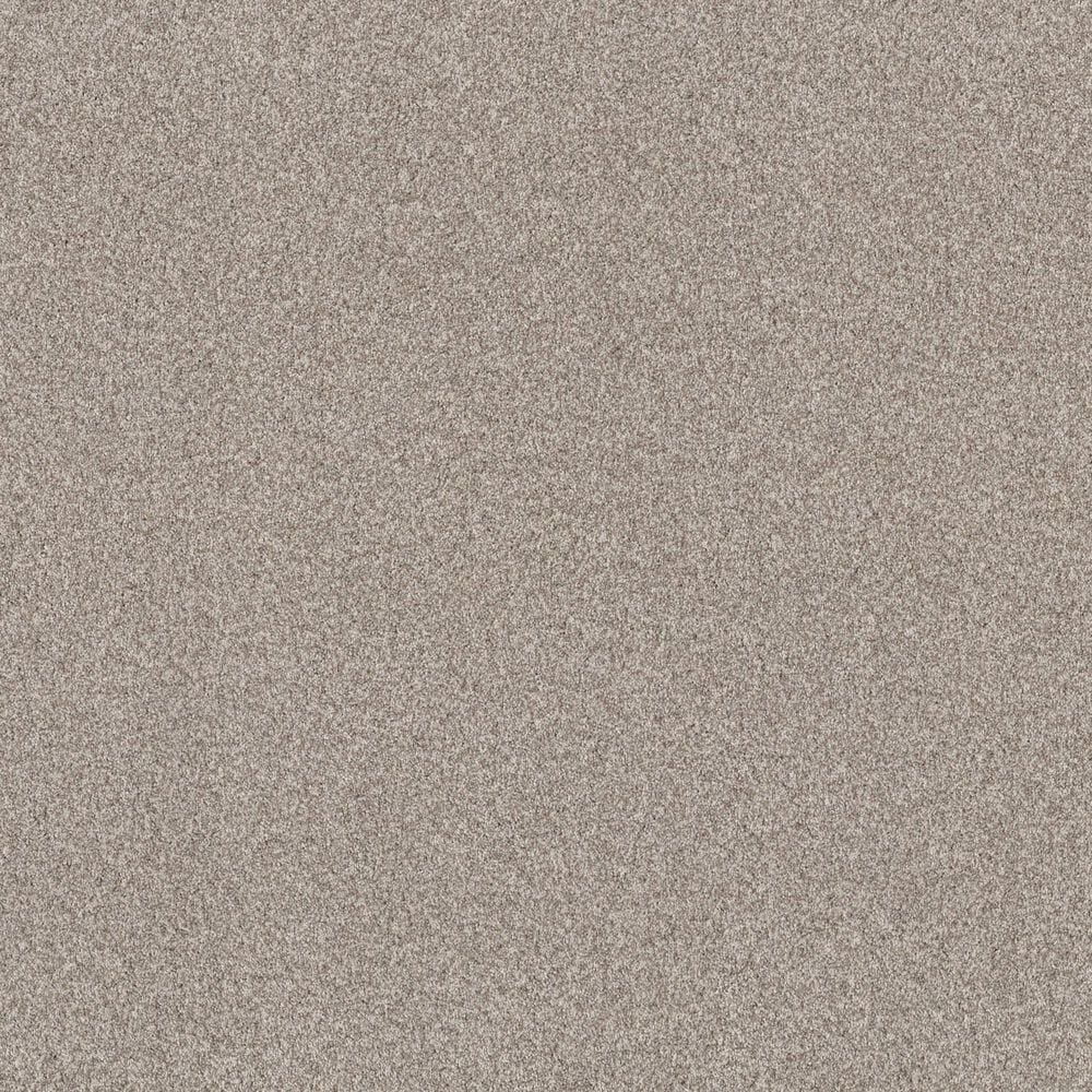 Anderson Tuftex Terra Nova Carpet in Spun Cotton, , large