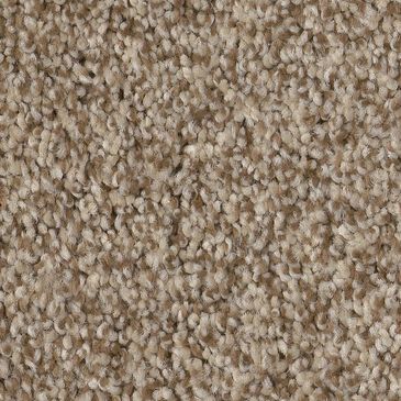 Anderson Tuftex Bossa Nova Carpet in Landscape, , large