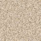 Anderson Tuftex Somerset Carpet in Risotto, , large