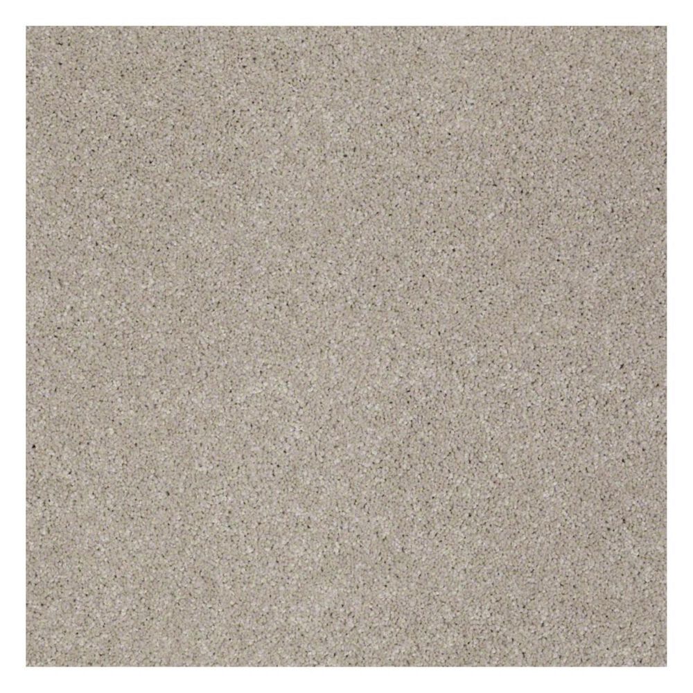 Anderson Tuftex East Place II Carpet in Driftwood, , large