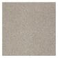 Anderson Tuftex East Place II Carpet in Driftwood, , large