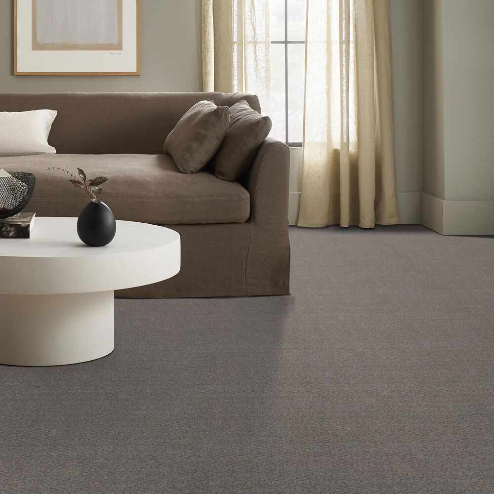 Anderson Tuftex Kit Carpet in Sensible, , large