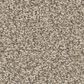 Anderson Tuftex Somerset Carpet in White Mocha, , large