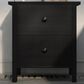 Furniture of America Martinson 2-Drawer Nightstand in Black, , large