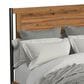 Hawthorne Furniture Norcross Queen Panel Bed in Hickory, , large