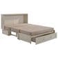 New Day Furniture Daisy Murphy Cabinet Bed with Mattress in Buttercream, , large
