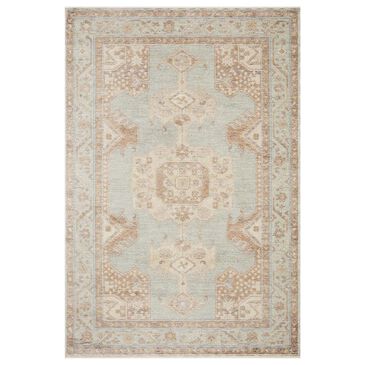 Magnolia Home Carlisle 2"3" x 3"10" Seafoam and Taupe Area Rug, , large