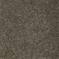 Mohawk Pleasant Touch Carpet in Legendary, , large