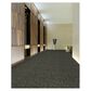 Shaw Sound Advice 24" x 24" Carpet Tile in Hold the Line, , large