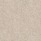 Anderson Tuftex Acadia Park Carpet in Smoky Suede, , large