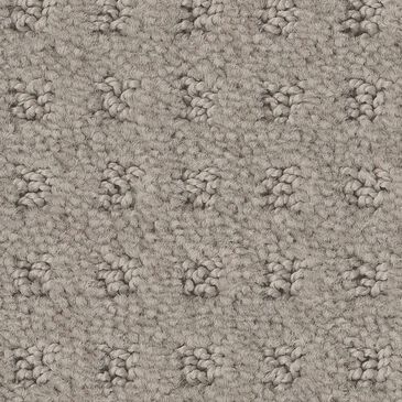 Anderson Tuftex West Coast Carpet in Ash Mist, , large