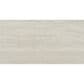 Emser Esplanade Alley 12" x 24" Porcelain Tile, , large