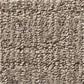 Anderson Tuftex Roamer Carpet in Stonish, , large