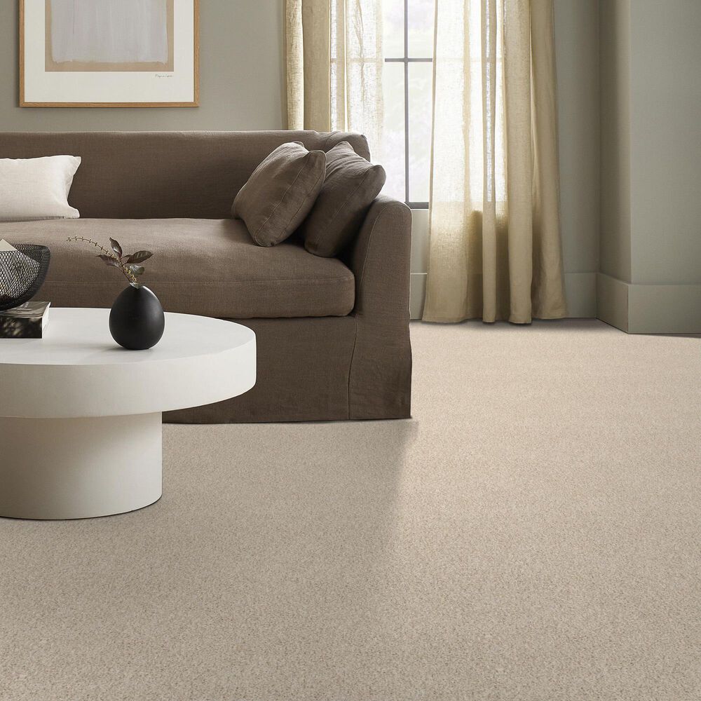 Anderson Tuftex Travertino Too Carpet in Tapioca, , large