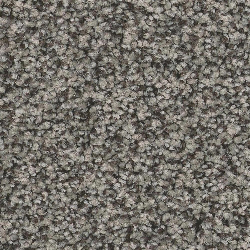 Anderson Tuftex Avalon Bay Carpet in Asphalt, , large