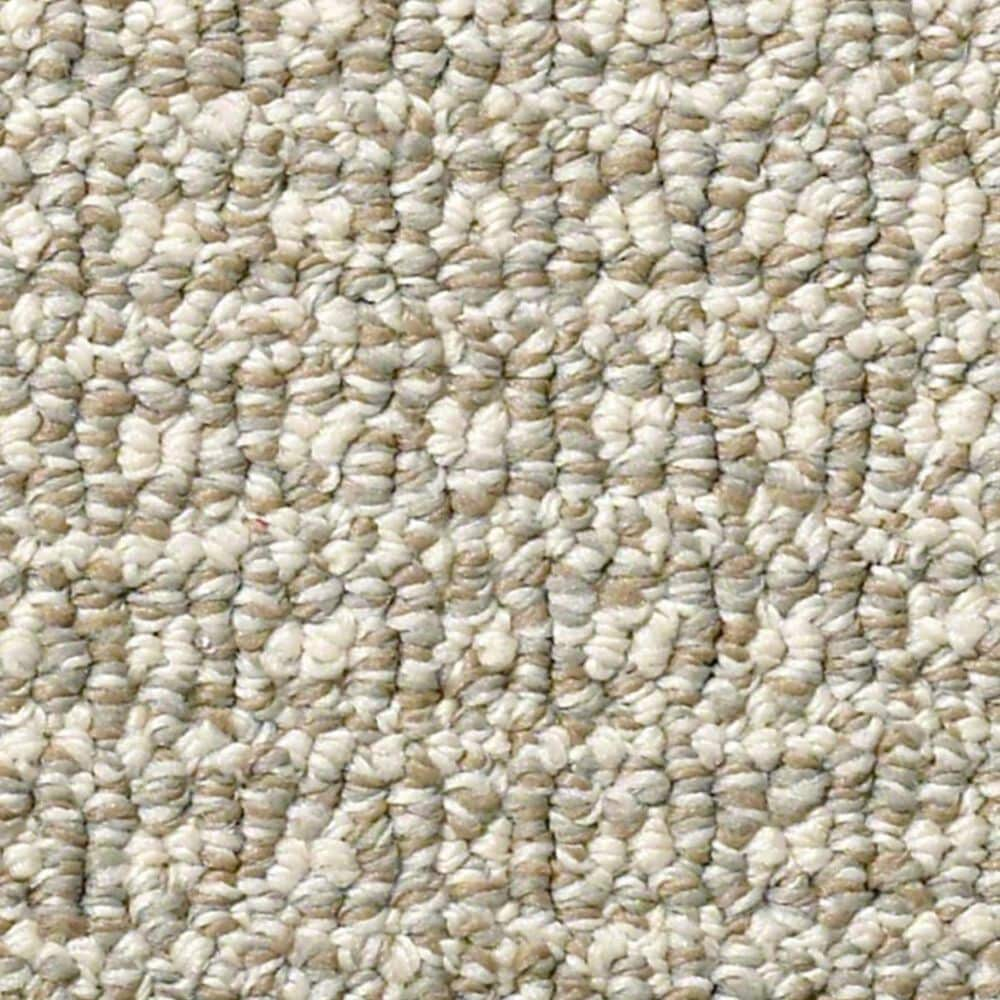 Shaw Fetch Carpet in Briarwood, , large