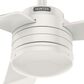 Hunter Cabo Frio 52" Outdoor Ceiling Fan in Fresh White, , large