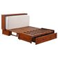 New Day Furniture Clover Murphy Cabinet Bed with Mattress in Cherry, , large